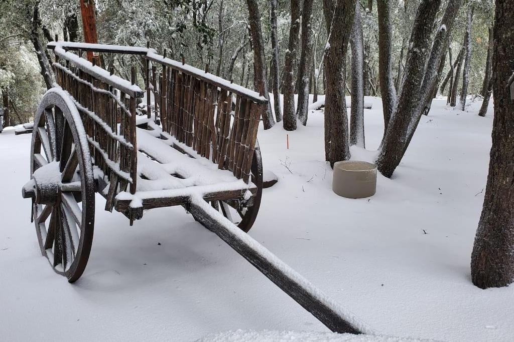 Pine Hills Cabin In Julian Ngoại thất bức ảnh