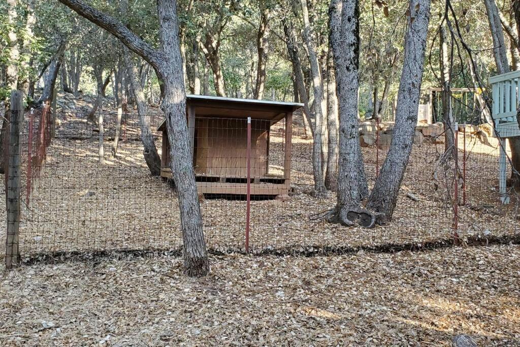 Pine Hills Cabin In Julian Ngoại thất bức ảnh