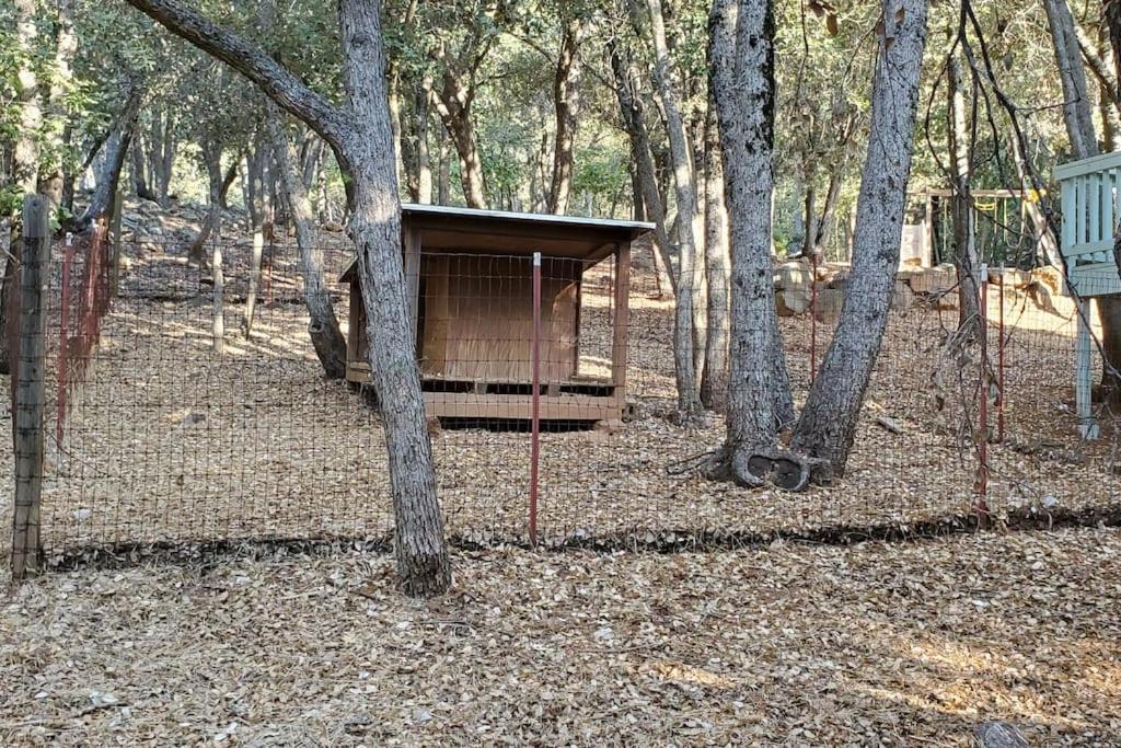 Pine Hills Cabin In Julian Ngoại thất bức ảnh